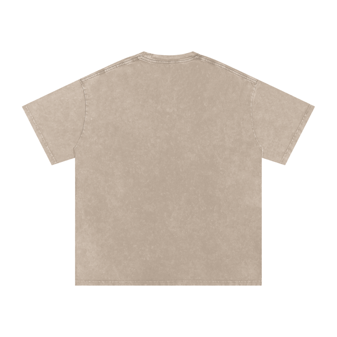 Snow Washed T-Shirt “metallic”