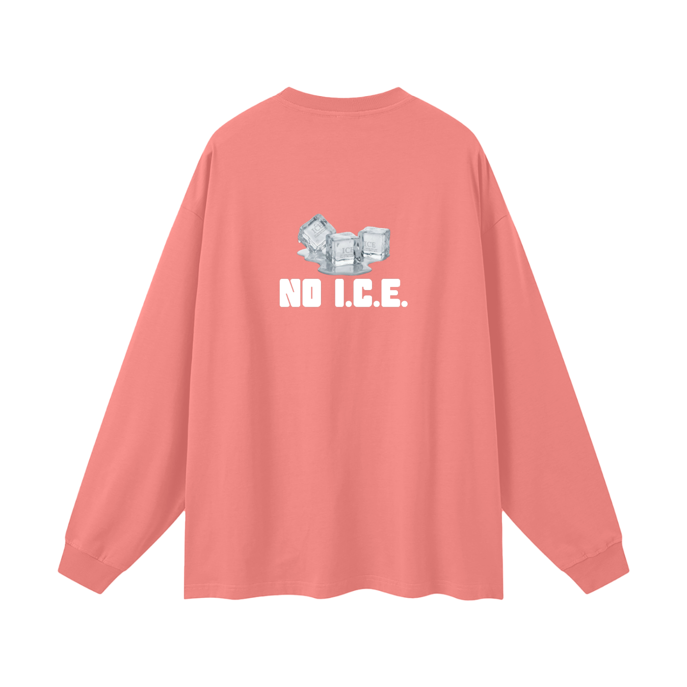 'NO I.C.E. please' longsleeve
