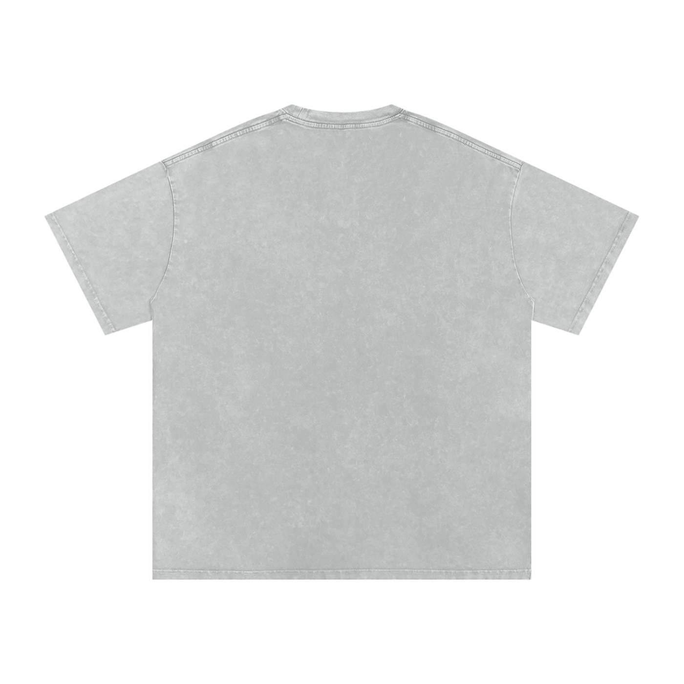Snow Washed T-Shirt “metallic”