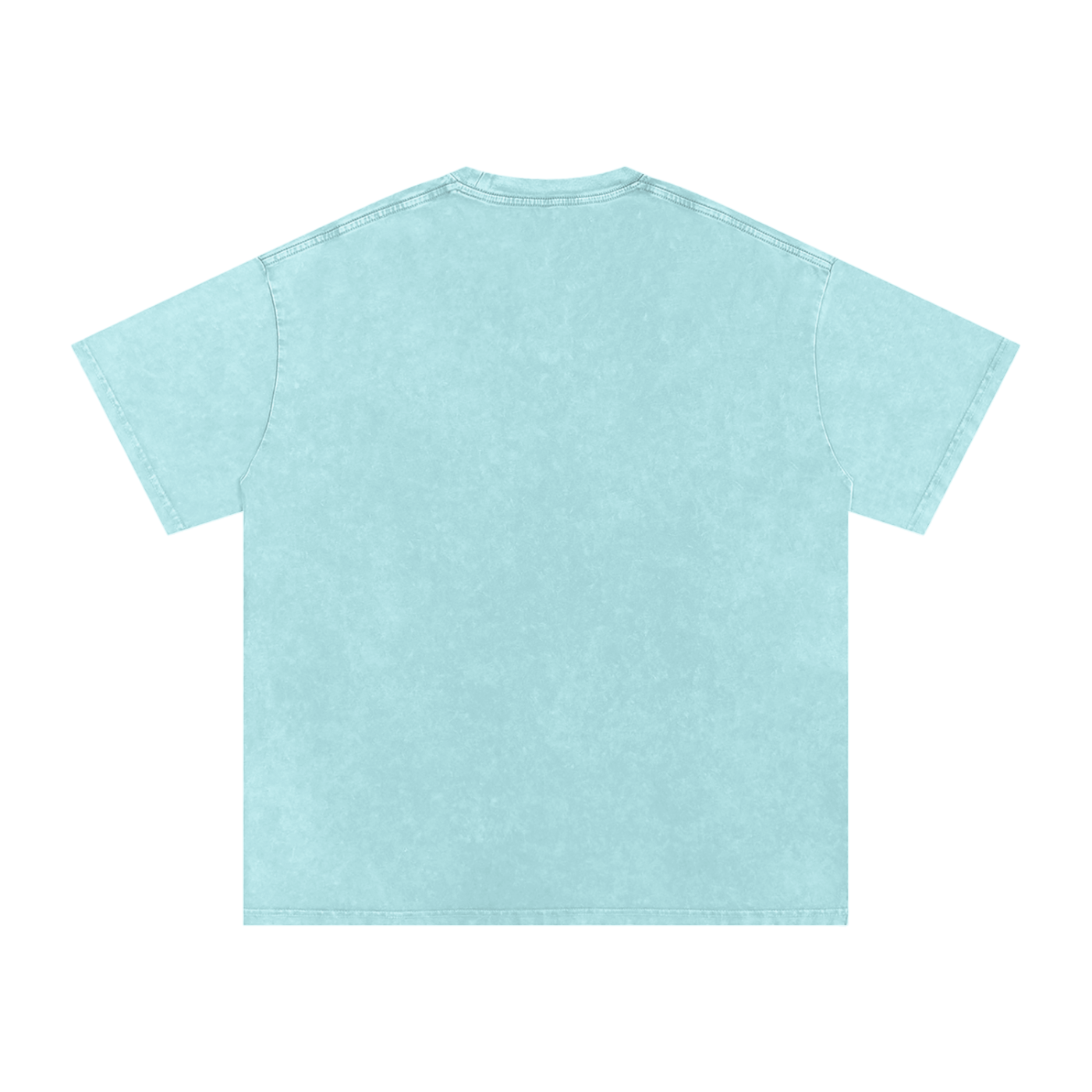 Snow Washed T-Shirt “metallic”